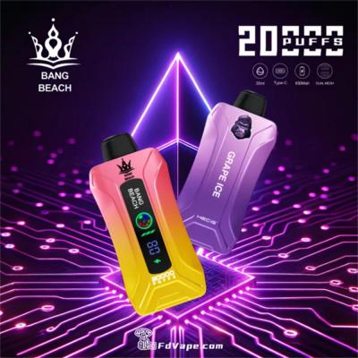 Bang Beach 20000 Puffs Eshisha Strawberry Disposable Pole