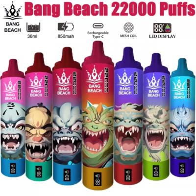 Bang Beach 22000 Puffs Disposable Vape Europe Wholesale