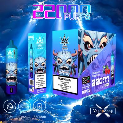 Bang Beach 22000 Puffs Disposable Vape Europe Wholesale1