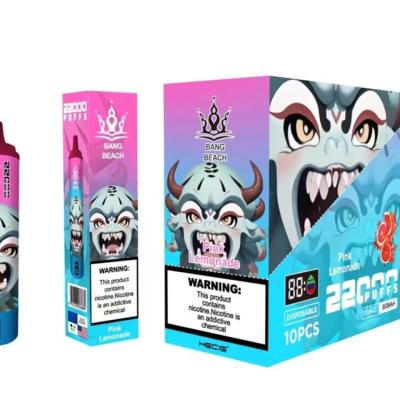 Bang Beach 22000 Puffs Disposable Vape Wholesale France