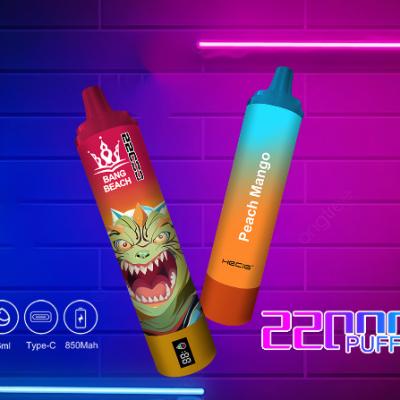 Original Bang Beach 20000 Puffs Vape Europe Wholesale